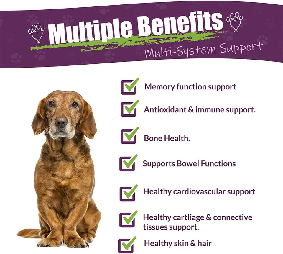 Amber Naturalz Carticil Plus Herbal Supplement For Dogs | Multi-System Support For Joint, Digestive, Cardiovascular, And Immune Health | Natural Aid For Overall Wellness And Vitality