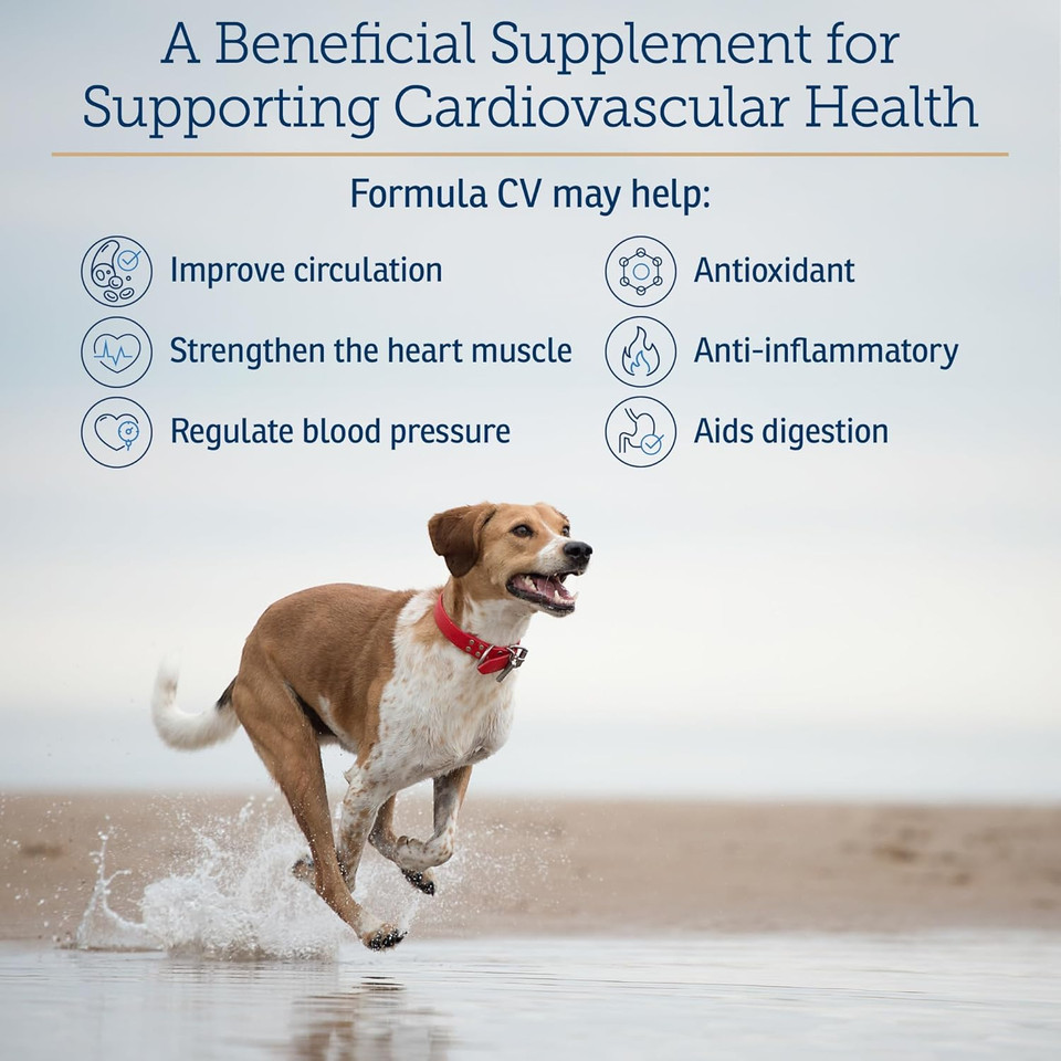 Rx Vitamins Formula Cv For Dogs & Cats - Cat And Dog Heart Health - Feline & Canine Cardiac Support - 90 Ct