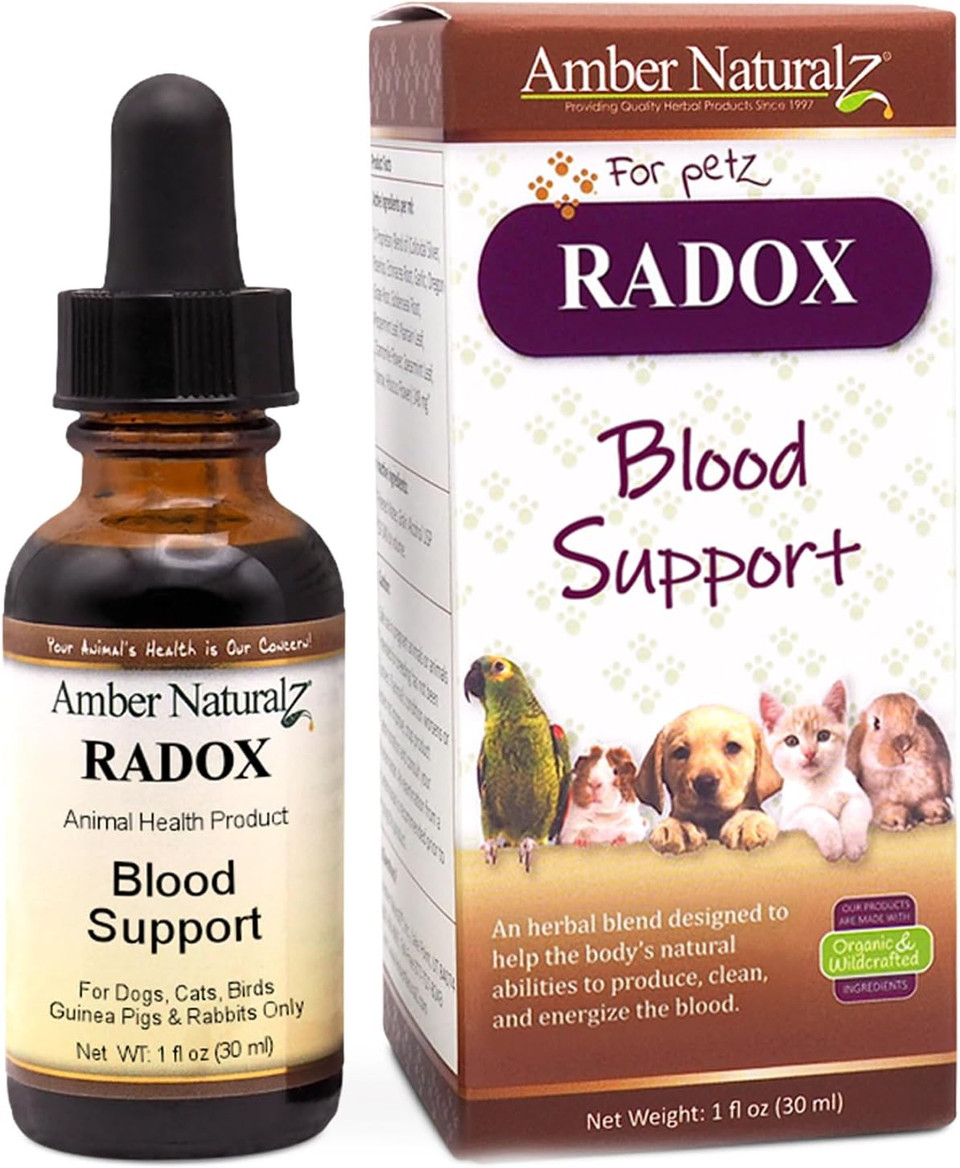 Amber Naturalz Radox Blood Support Herbal Blend For Dogs, Cats, Birds, Guinea Pigs, And Rabbits | Herbal Pet Supplement For Circulation And Iron | 4 Fluid Ounce Glass Bottle | Manufactured In The Usa