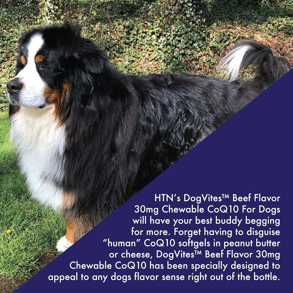 Health Thru Nutrition Dog-Vites Coq10 For Dogs, 60 Beef-Flavored Chewable Tablets, 30Mg