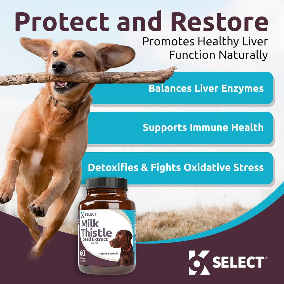 K9 Select Milk Thistle For Dogs, 100Mg - 60 Beef Flavored Tablets - Canine Liver Health Natural Milk Thistle Supplement