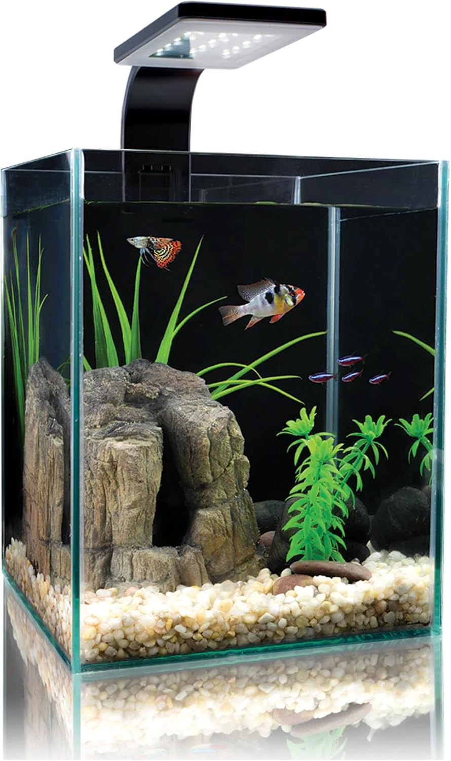 Cobalt Aquatics Microvue3 Aquarium Kit - 2.6 Gallon, White/Black - Includes Filter, Led Light, Glass Top & Foam Pad - For Nano Reefs & Planted Tanks