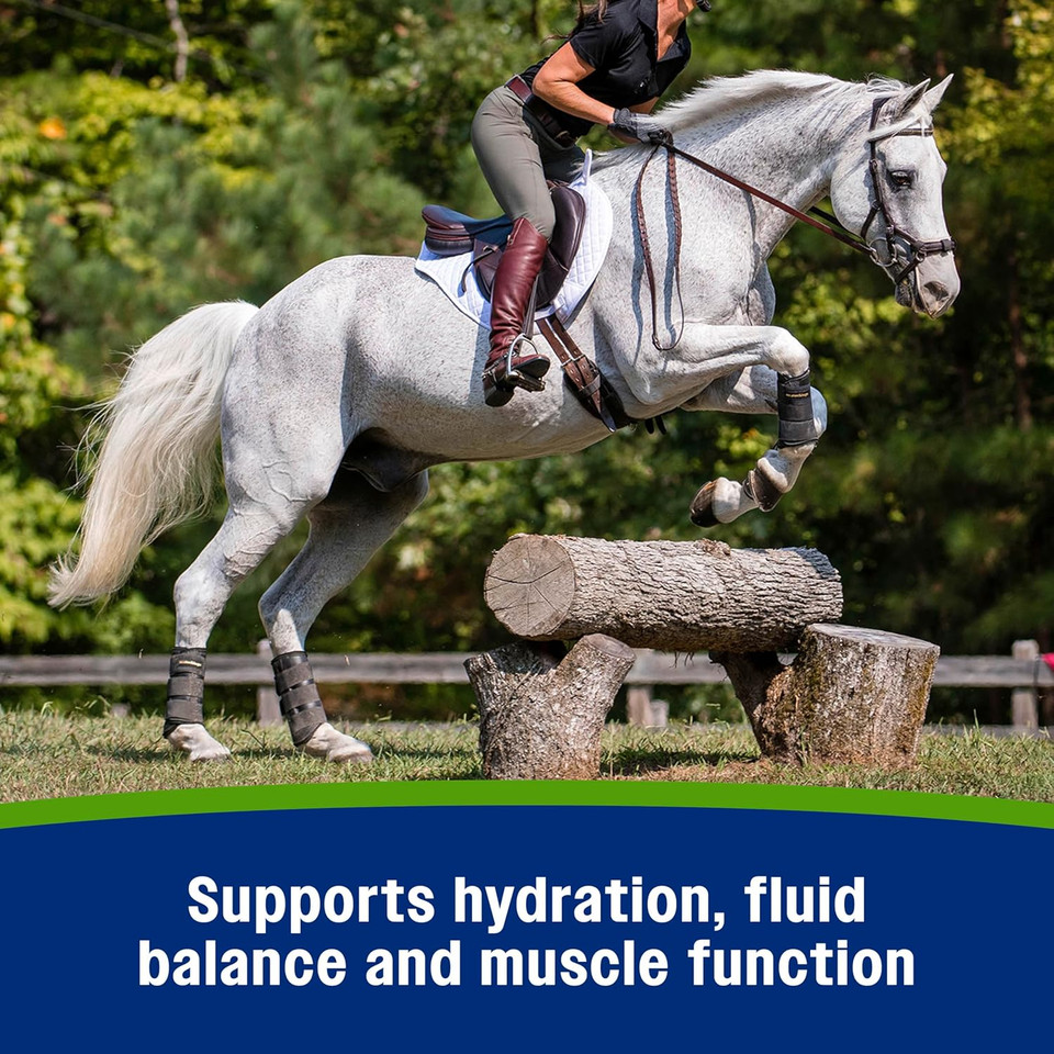 Farnam Apple Elite Electrolyte Supplement For Horses, Replaces Vital Minerals, Encourages Hydration, No Added Sugar, 7.5 Lb, 40 Day Supply