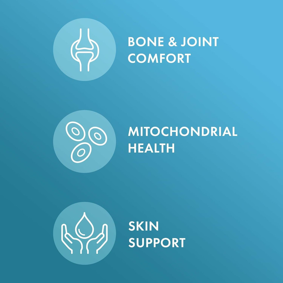 Dr. Mercola Joint Formula - Supports Joint Comfort & Mobility - From Natural Eggshell Membrane - Non-Gmo & Gluten-Free - 30 Capsules (30 Servings)