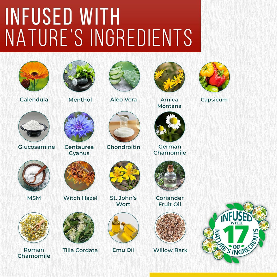 Real Time Pain Relief Cream 12Oz Bottle | 17 Natural Ingredients: 1.25% Menthol, Arnica & Msm | Muscle Strain & Joint Discomfort Relief For Arthritis, Cramps, Sprains, Bruises, Hands, Back & Knee Pain