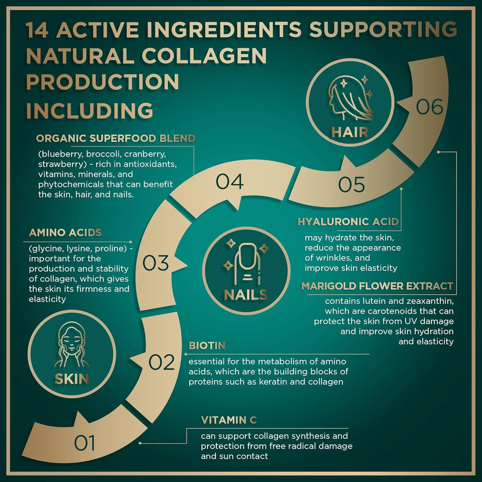 Wild Fuel Vegan Collagen Builder - Biotin, Organic Superfood, Amino Acids Glycine, Lysine, Proline Plant-Based Collagen Booster Supplements - 30 Organic Extract Tablets