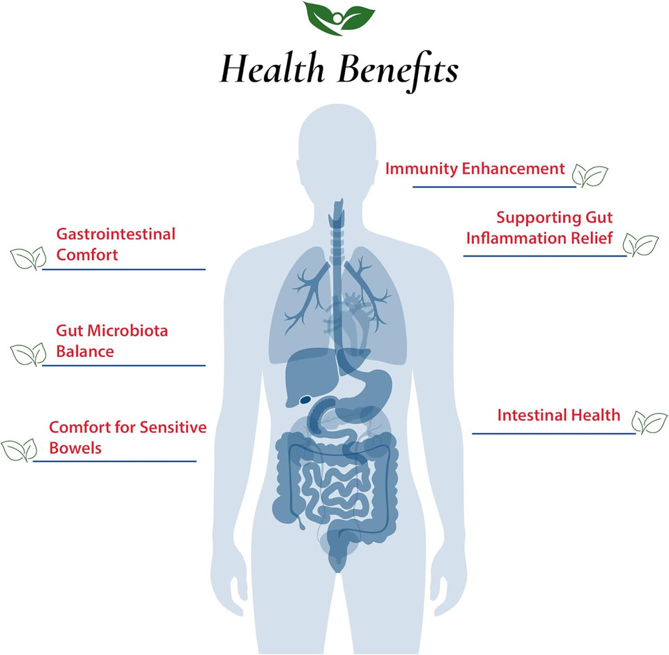 Bifidobacterium Infantis Probiotic Powder 100 Billion Cfu'S | Made In Usa | No Additives | Digestive & Immune Support | High Potency | B. Infantis | 100 Gram (3.52 Oz)