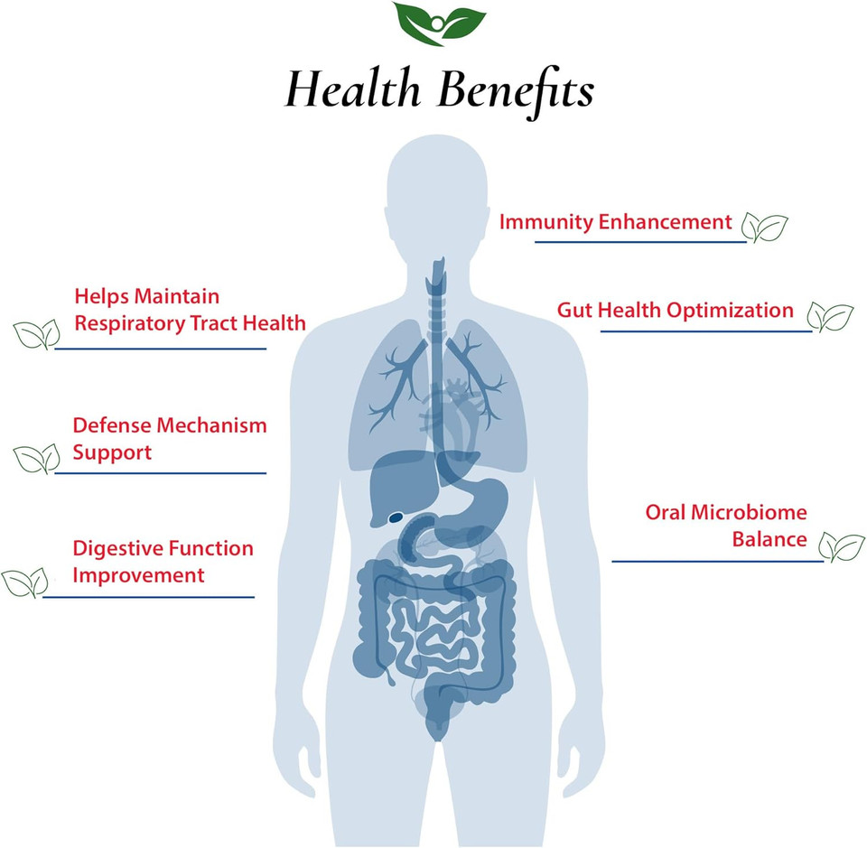 Lactobacillus Salivarius Probiotic Powder 300 Billion Cfu'S | Made In Usa | No Additives | Digestive & Immune Support | High Potency | L.Salivarius | 30 Gram (1.05 Oz)