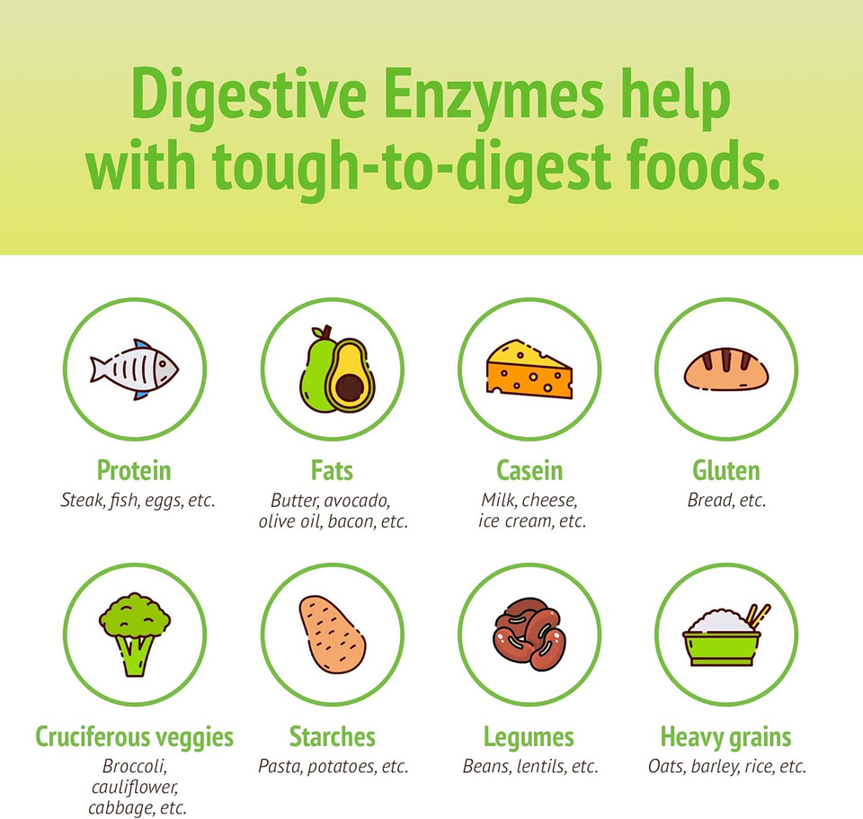 Smidge® Digestive Enzymes  Comfy Digestion  Lipase & Protease  120 Capsules