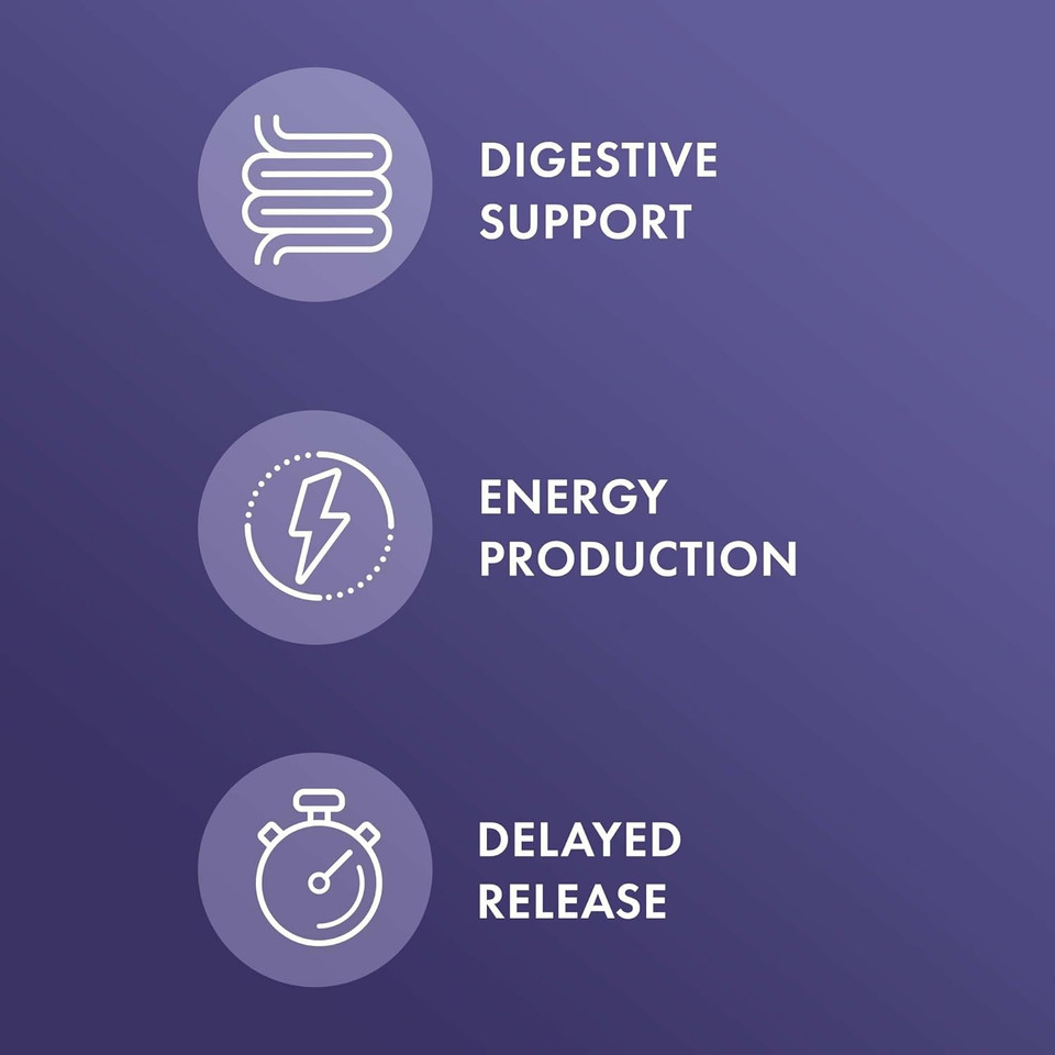 Dr. Mercola Gallbladder Enzymes - Gallbladder & Digestive Health Support - Includes Pancreatic Protease, Amylase & Lipase - Non-Gmo, Gluten-Free & Soy-Free - 30 Delayed Release Capsules (30 Servings)