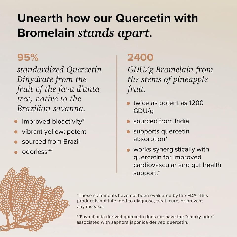 Quercetin With Bromelain - Bioactive Fava D'Anta Derived Quercetin With 2400 Gdu/G Bromelain 120 Capsules