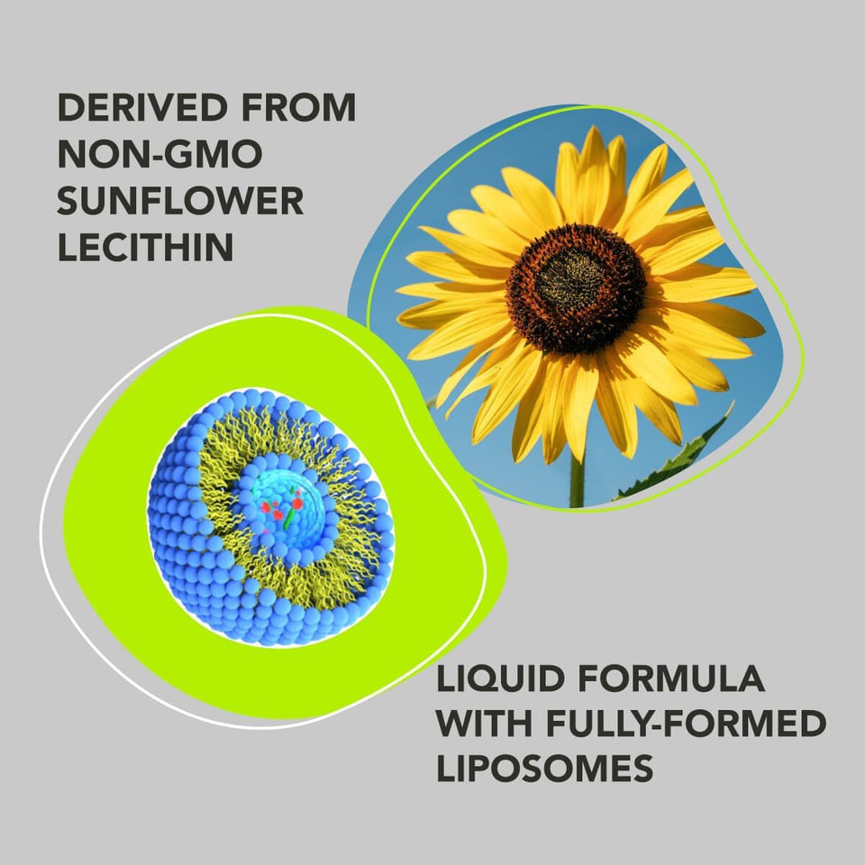 Amandean Liposomal Glutathione Supplement. Liquid Reduced Setria 500Mg. Immune Support, Brain Health, Liver Detox, Skin Health. Phosphatidylcholine From Non-Gmo Sunflower Lecithin. Soy-Free & Vegan