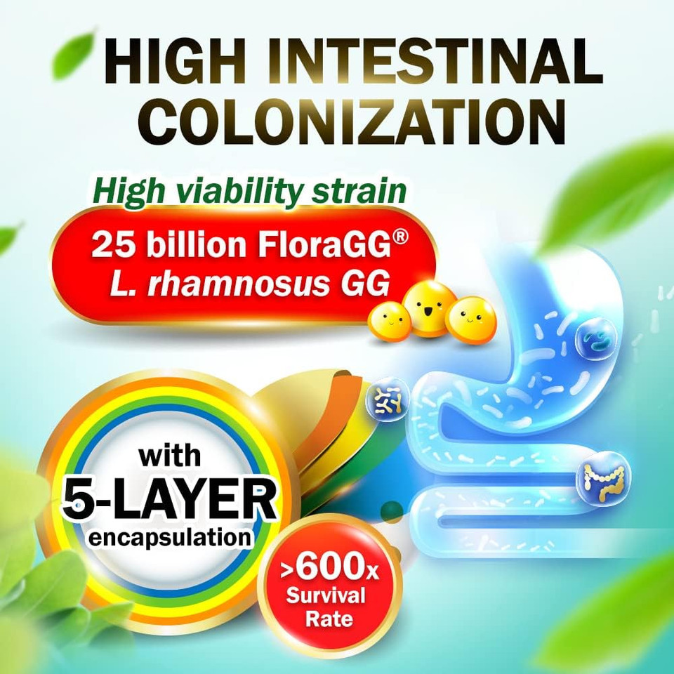 Labo Nutrition Floragg, Lactobacillus Rhamnosus Gg 25 Billion Cfu Active Probiotics & Sunfiber Prebiotic Fiber Supplement, Support Healthy Intestinal, Immune Health| Delayed Release & Gluten Free 60S