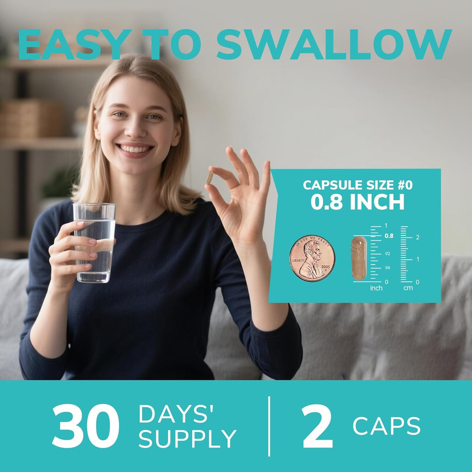 Akkermansia Probiotics For Women & Men, Immune Support Supplement, 16 Strains, With Prebiotics, Zinc, Vitamins C & D3, Moringa & Elderberry, Non-Gmo, Digestive Support, 60 Capsules