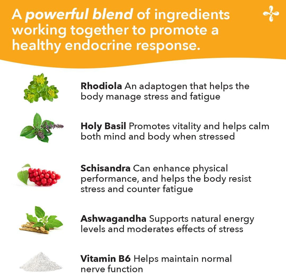 Lifeseasons Adrenal-T - Adrenal Fatigue Support Supplement - Helps Lower Cortisol - Avoid Burnout - Aids Stress Management - Energizing - With Ashwagandha Adaptogens - 60 Capsules