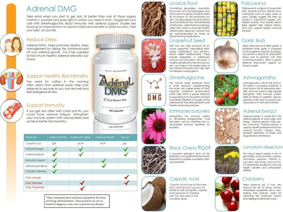 Adrenal Dmg - 180 Capsules - Support Daytime Energy, Better Sleep, Immune System, Reduce Stress Levels, And Fatigue - All Natural Supplement