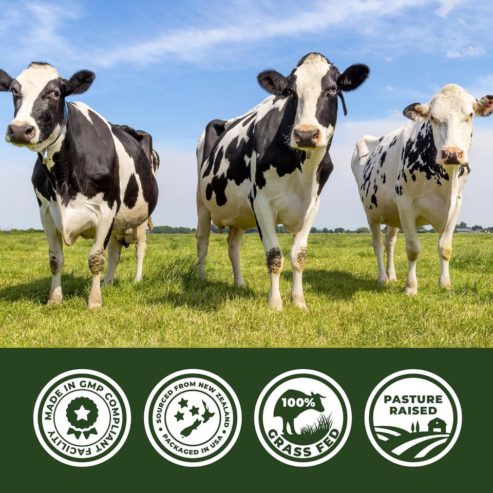 Beef Organ Supplement Grass Fed - 7 Beef Organs Complex From New Zealand - Liver Heart Pancreas Kidney Lung Spleen Bone Marrow - Non-Gmo, No Fillers, Hormone & Antibiotic Free - Carnivore Diet - 180Ct Beef Organ Supplement Grass Fed - 7 Beef Organs Complex From New Zealand - Liver Heart Pancreas Kidney Lung Spleen Bone Marrow - Non-Gmo, No Fillers, Hormone & Antibiotic Free - Carnivore Diet - 180Ct