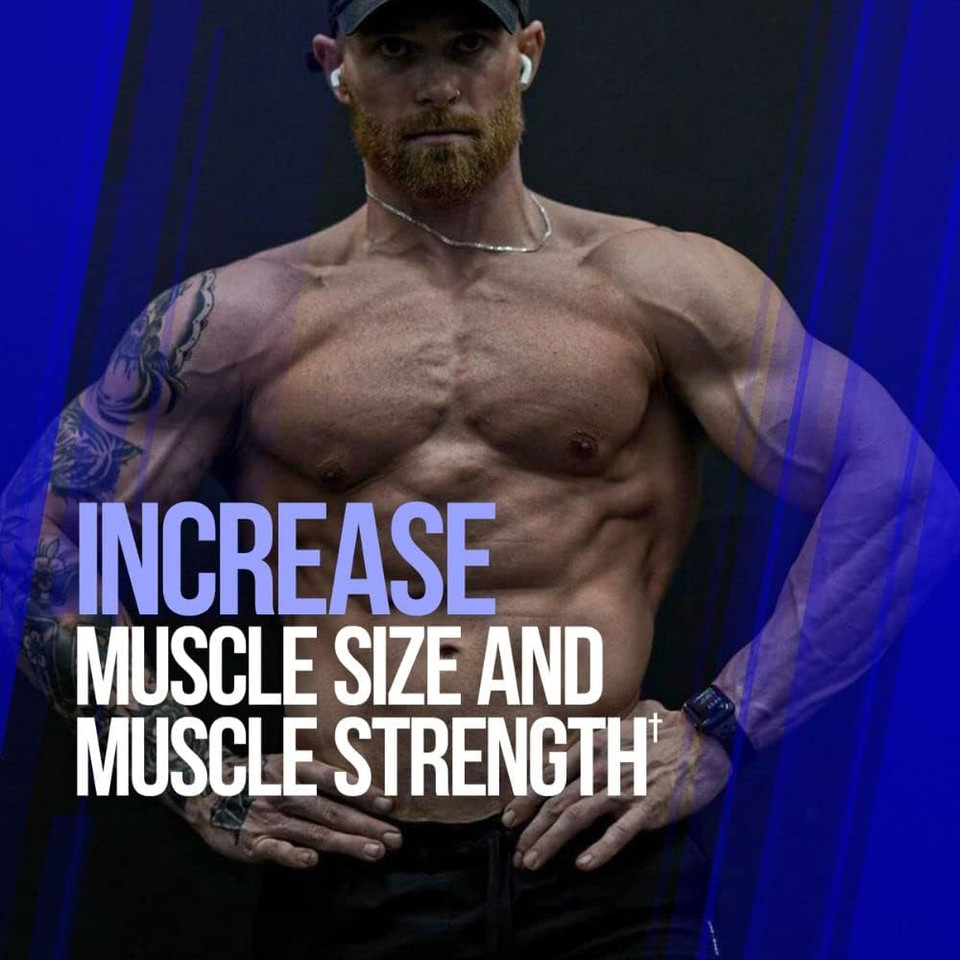 Alpha Lion Gains Candy, Supplement Pills For Muscle Growth, Size, & Strength, Nitric Oxide Booster, Muscle Builder, Use Daily To Upgrade Energy & Workout Performance, 60 Capsules (Ripfactor®)