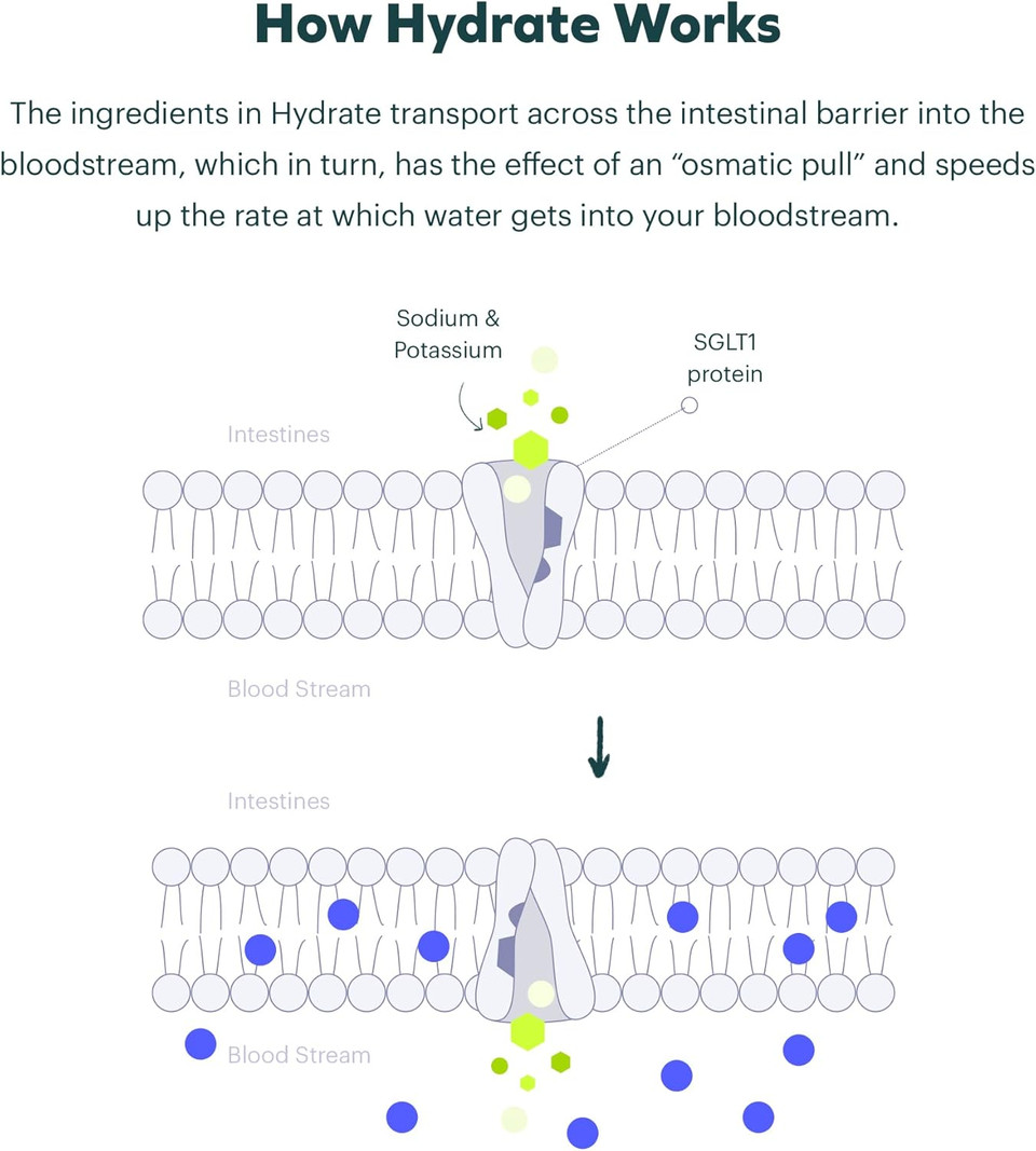 Cheers Classic Combo | Restore + Hydrate | Rehydrate & Feel Better After Drinking | Dhm, L-Cysteine, B-Vitamins, Electrolytes | 12 Doses Each | Liver Support | Electrolyte Supplements