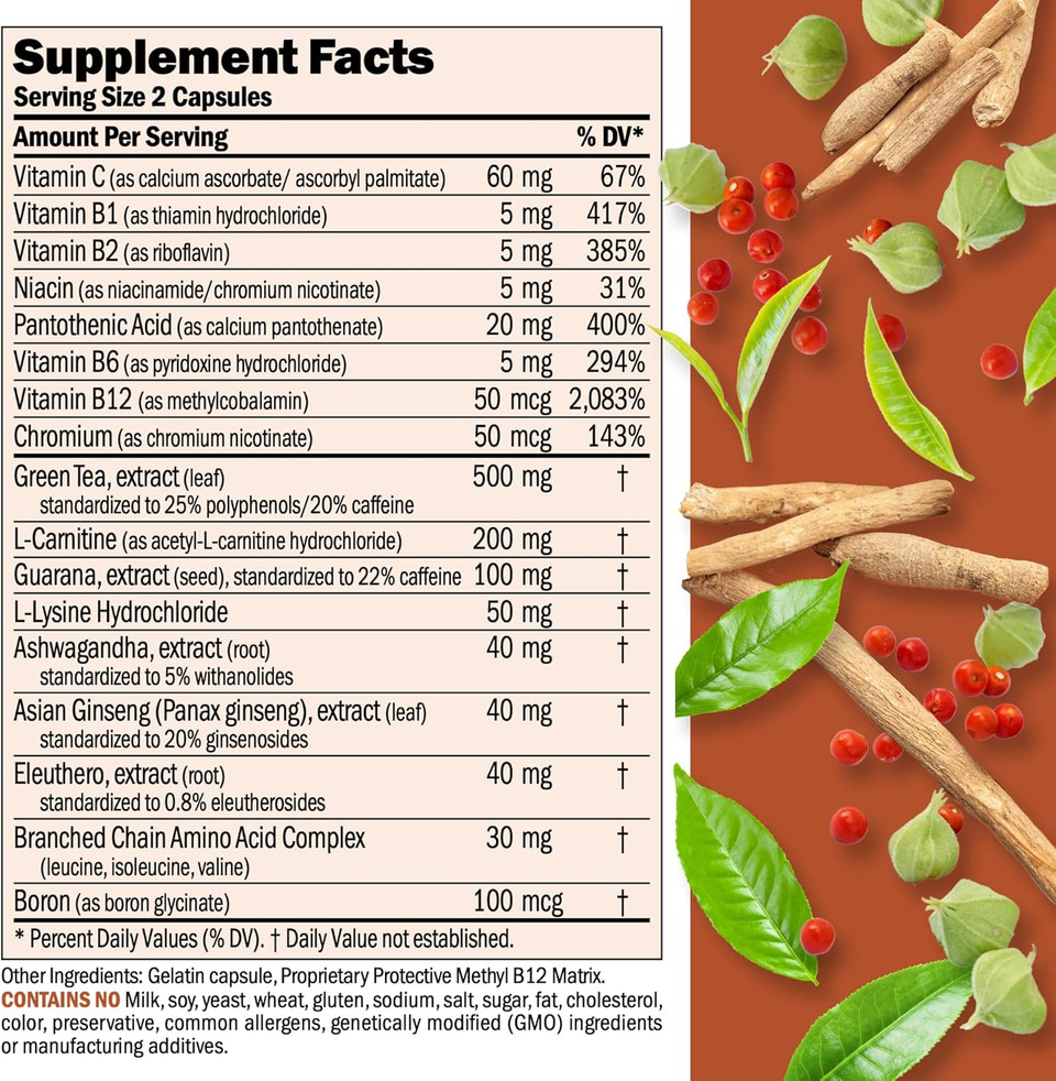 Andrew Lessman Energy And Fat Metabolism Factors 360 Capsules - Promotes Optimum Fat Burning And Energy Metabolism, With Carnitine, Green Tea, Guarana, Ginseng, B-Complex. Easy To Swallow Capsules