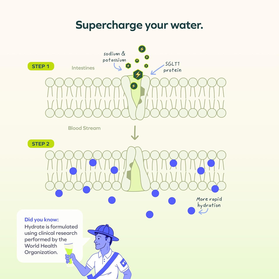 Cheers Hydrate | Oral Rehydration Solution | Electrolytes For Rapid Hydration | Lemon Lime Flavor | 12 Servings | Electrolyte Supplement With Sodium, Potassium, Glucose