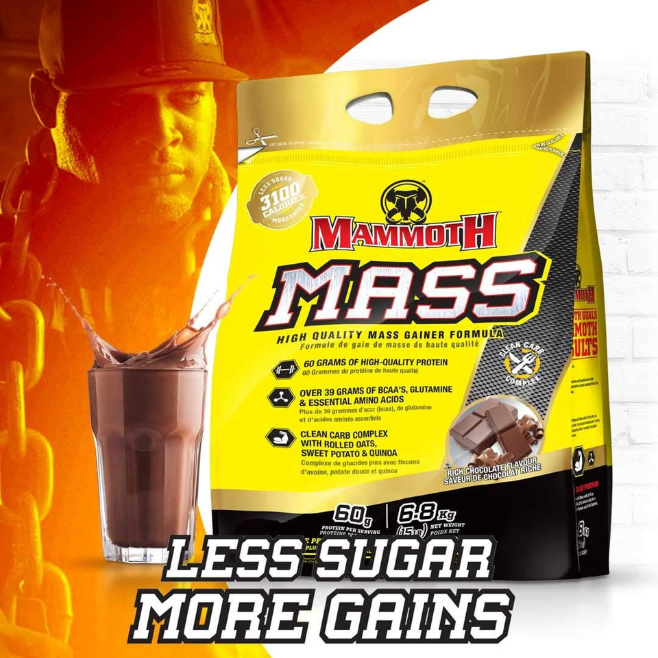 Mammoth Mass, Chocolate 15Lb