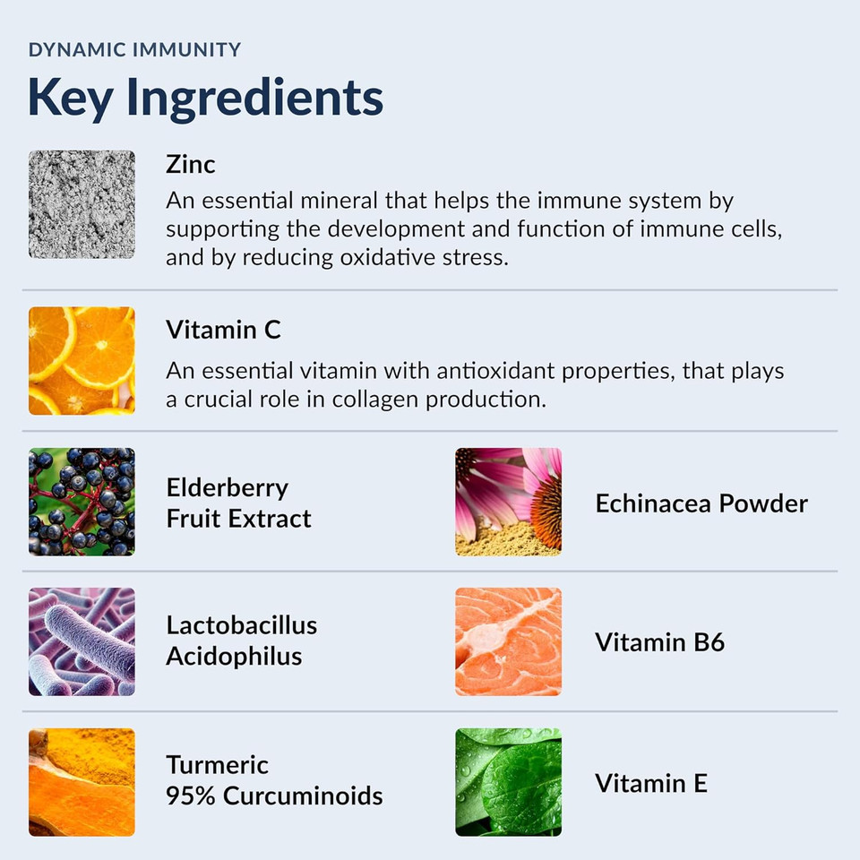 Stonehenge Health Dynamic Immunity Daily Supplement 10-In-1 Immune Boosters Zinc, Elderberry, Echinacea, Vitamin C & Probiotic L. Acidophilus  Supports Immune System & Respiratory Health, 60 Capsules