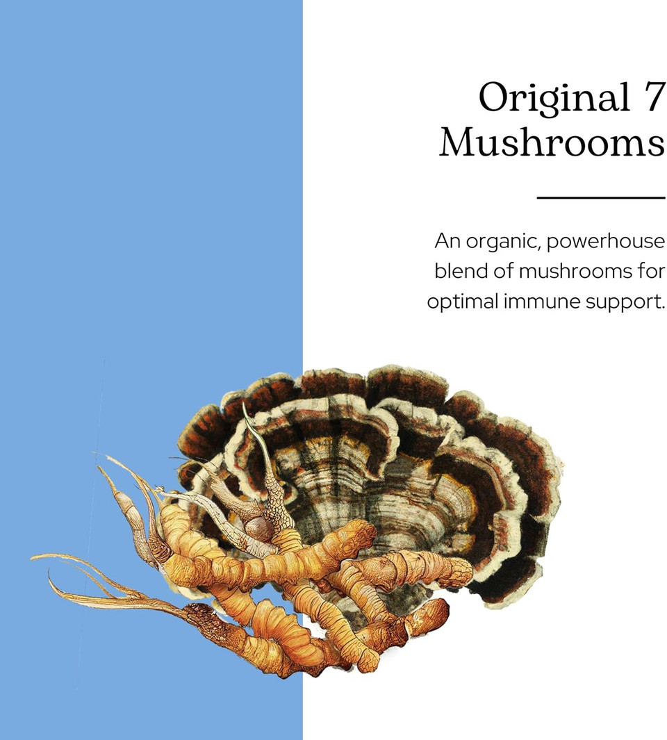 Ecelctic Institute Non-Gmo Original 7 Mushrooms, Immune Supporting Mushroom Blend | 60 Ct (650 Mg)