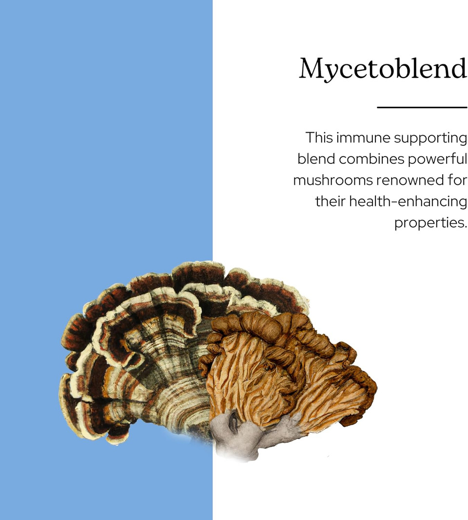 Eclectic Institute Mycetoblend Immune-Supporting Non-Gmo Mushroom Blend | 60 Ct (575 Mg)