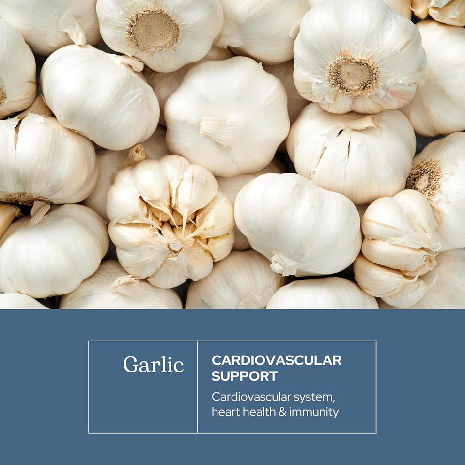 Eclectic Institute Raw Freeze-Dried Non-Gmo Garlic | Antioxidants For Health, Helps Maintain Healthy Circulation | 90 Ct