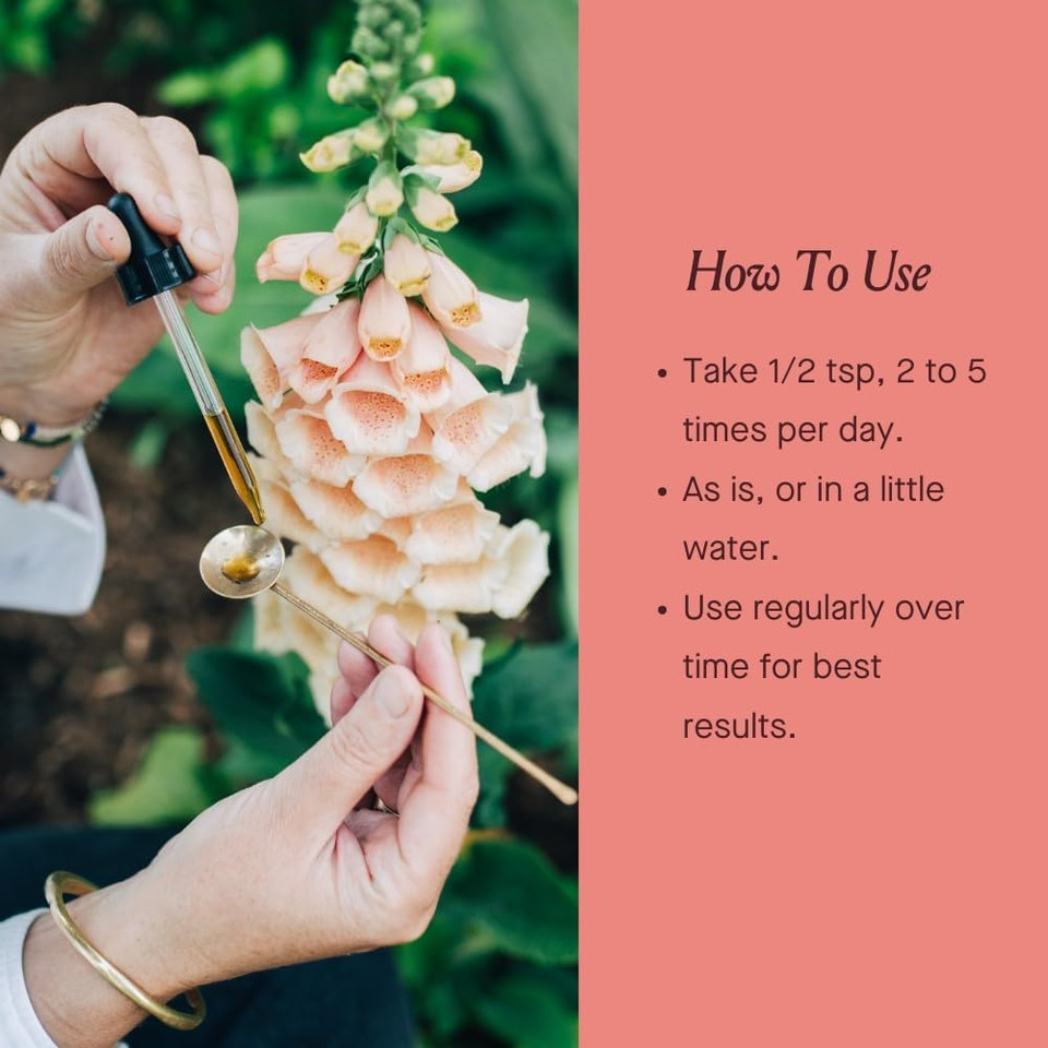 Urban Moonshine Mushroom Immune - Daily Support With Reishi & Astragalus - Long-Term Tonic For Healthy Immune System - Immune Support Supplement - Gluten Free Herbal Supplement - 8.4 Fl Oz