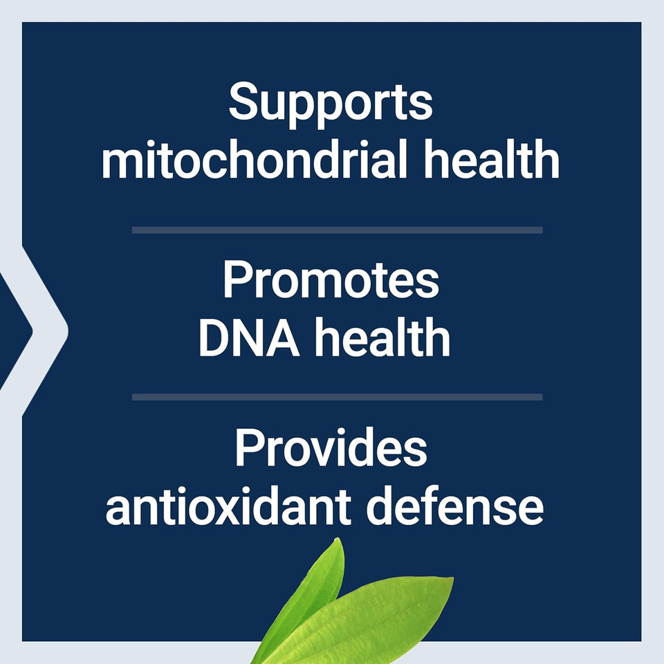 Life Extension Chlorophyllin, Antioxidant & Dna Health Support, Gluten-Free, Non-Gmo, Vegetarian, 100 Vegetarian Capsules