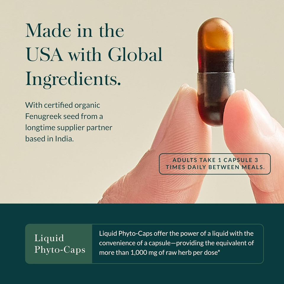 Gaia Herbs Lactation Support - Supports Healthy Production Of Breast Milk In Nursing Mothers* - With Fenugreek Seed, Fennel Seed, And Raspberry Leaf - 120 Vegan Liquid Phyto-Capsules (40-Day Supply)