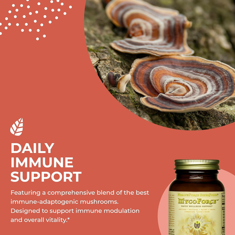 Healthforce Superfoods Mycoforce - Capsules - 60 Vegan Capsules