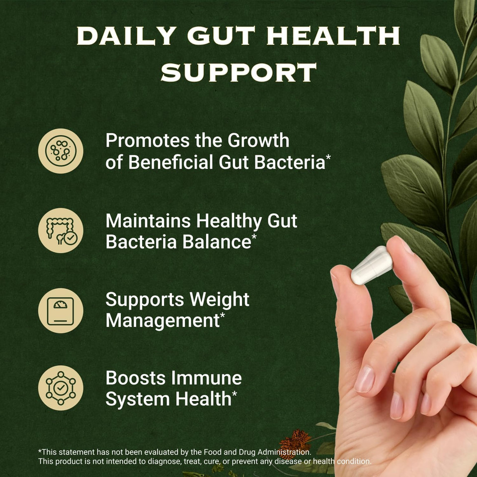 Akkermansia Muciniphila Probiotics And Prebiotics - Glp 1 Booster W/Lactobacillus Salivarius | Fiber Supplement Gut Health & Digestive Health | Women Probiotic Akkermansia Light