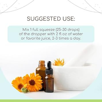 Hyssop B60 Alcohol-Free Herbal Extract Tincture, Concentrated Liquid Drops Natural Usda Organic Hyssop (Hyssopus Officinalis) (2 Fl Oz)