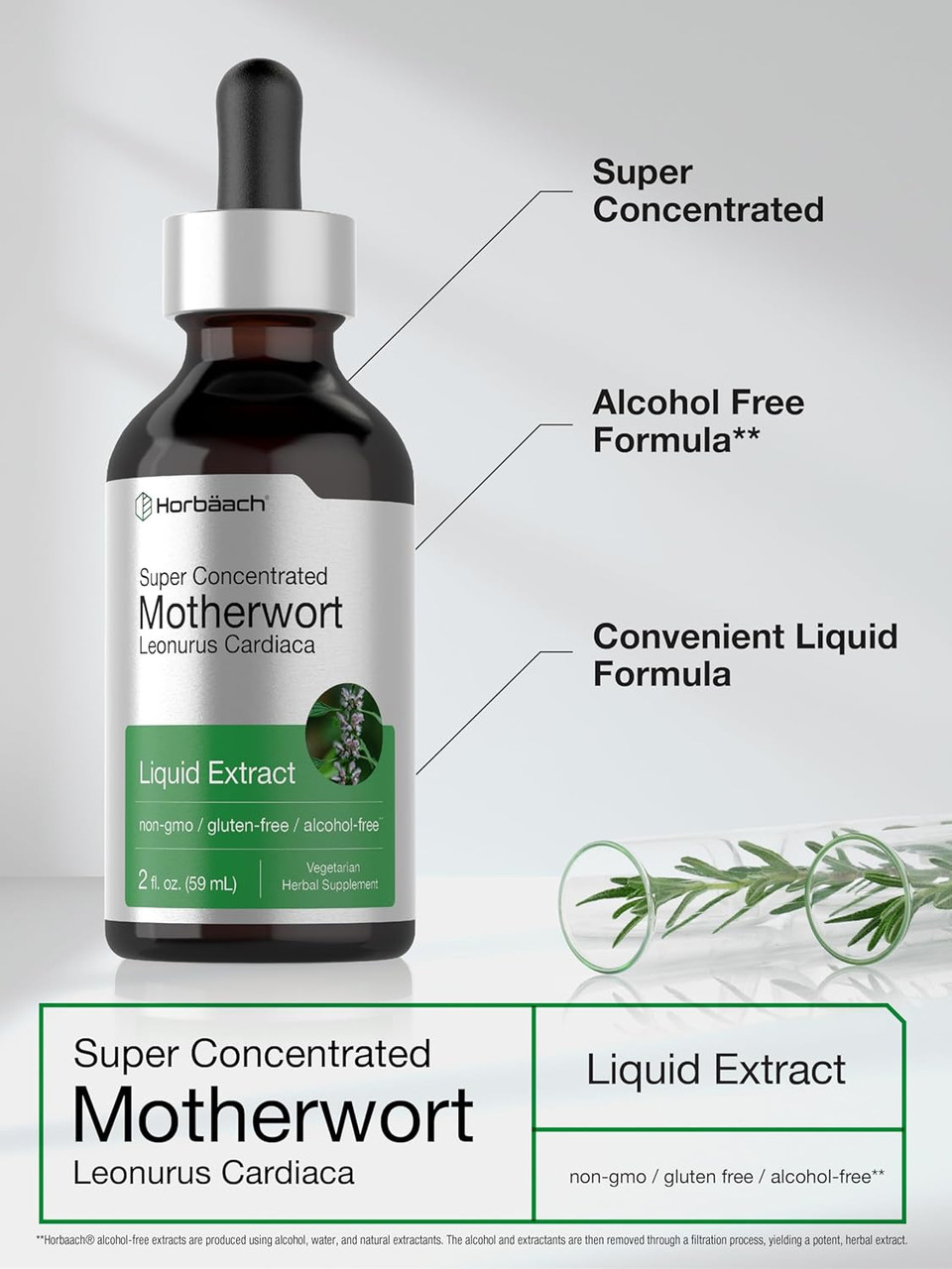 Horbäach Motherwort Herb Extract Tincture | 2 Oz | Low Alcohol Liquid | Vegetarian | Leonurus Cardiaca | Non-Gmo, Gluten Free