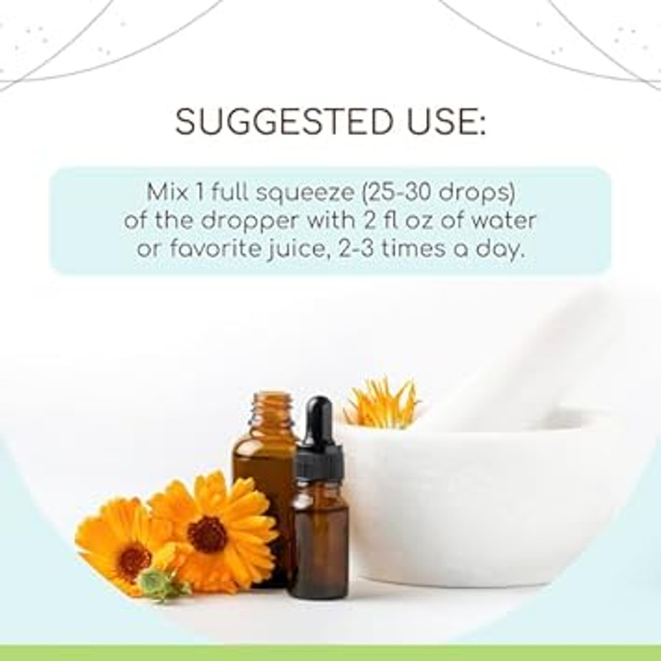 Dandelion Leaf B120 Alcohol-Free Herbal Extract Tincture, Concentrated Liquid Drops Natural Dandelion (Taraxacum Officinale) Dried Leaf (4 Fl Oz)