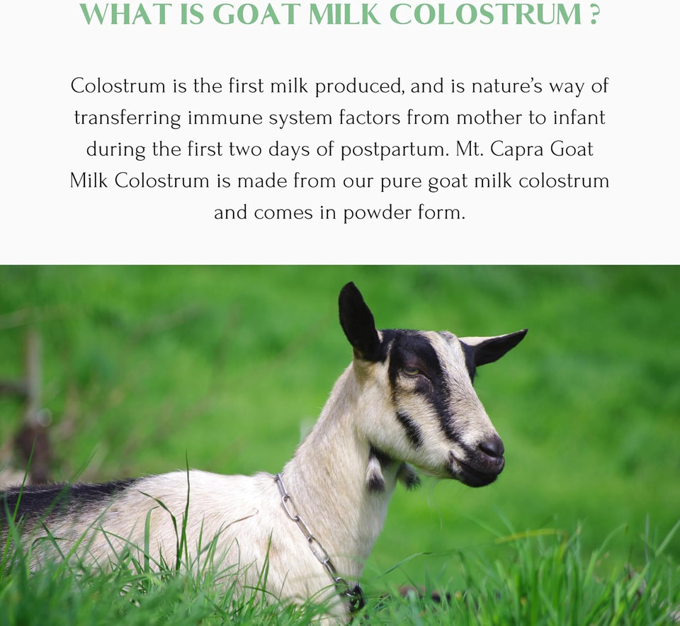 Mt. Capra Goat Milk Colostrum | For Healthy Immune System, Gut, And Athletic Performance | Grass-Fed, High In Immunoglobulins | 60 Servings - 174 Grams