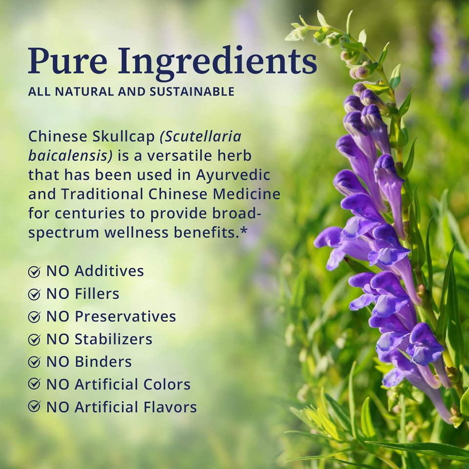 Biopure Chinese Skullcap Herbal Tincture  Potent Botanical Extract Rich In Bioactive Flavonoids That Support Neurological, Immune, Circulation, Microbiome Balance, & Whole-Body Wellness  2 Fl Oz