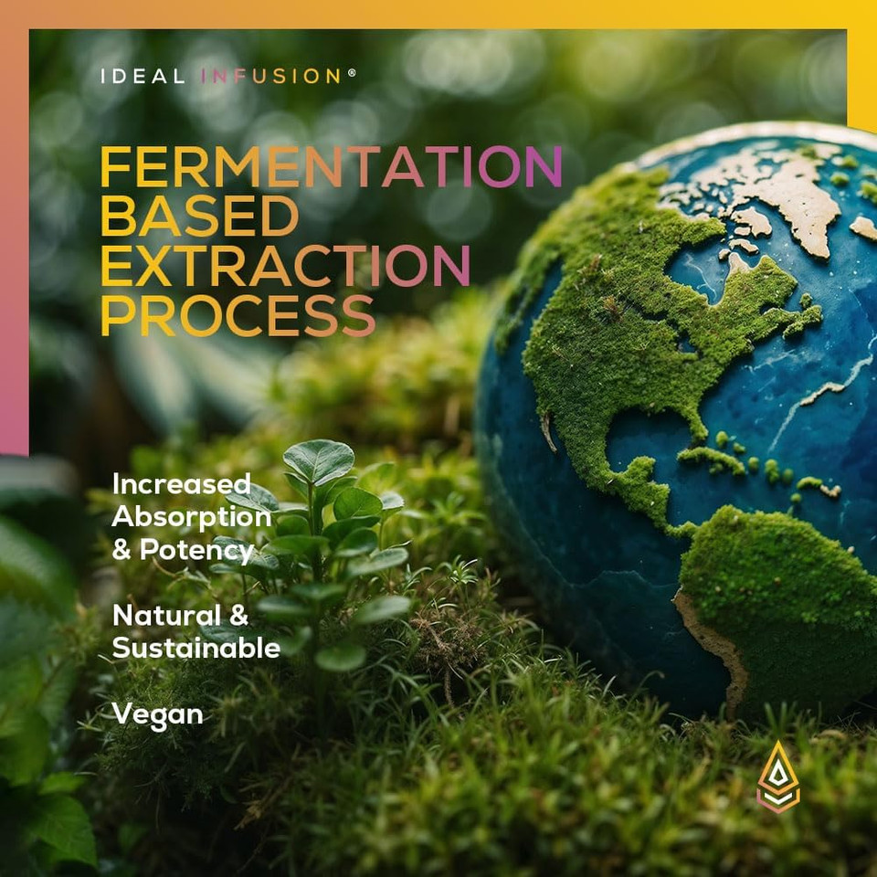 Ideal Infusion Fermentation Based L-Ergothioneine 30Mg: Longevity Vitamin, Antioxidant, Anti-Aging, Heart & Brain Health (60 Servings) Vegan
