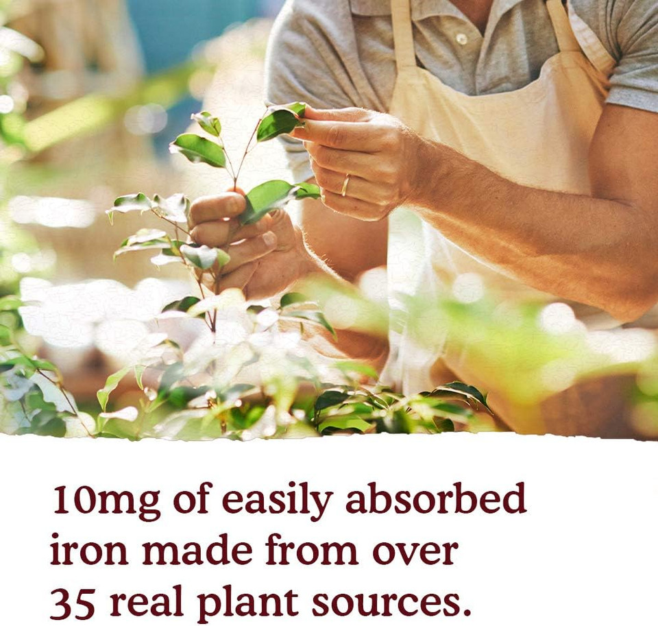 Garden Of Life Organics Plant Iron & Organic Herbs - Organic Plant-Sourced Iron + Herbs (Cranberry-Lime Liquid) 8 Ounce Liquid