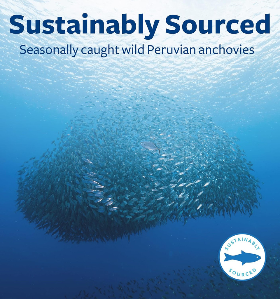 Omega 7 Supplement For Women And Men - High Potency & Purity Palmitoleic Acid Fatty Acid Fish Oil Supplement From Patented Provinal With Lowest Palmitic Acid - Sustainably Sourced (1 Month Supply)