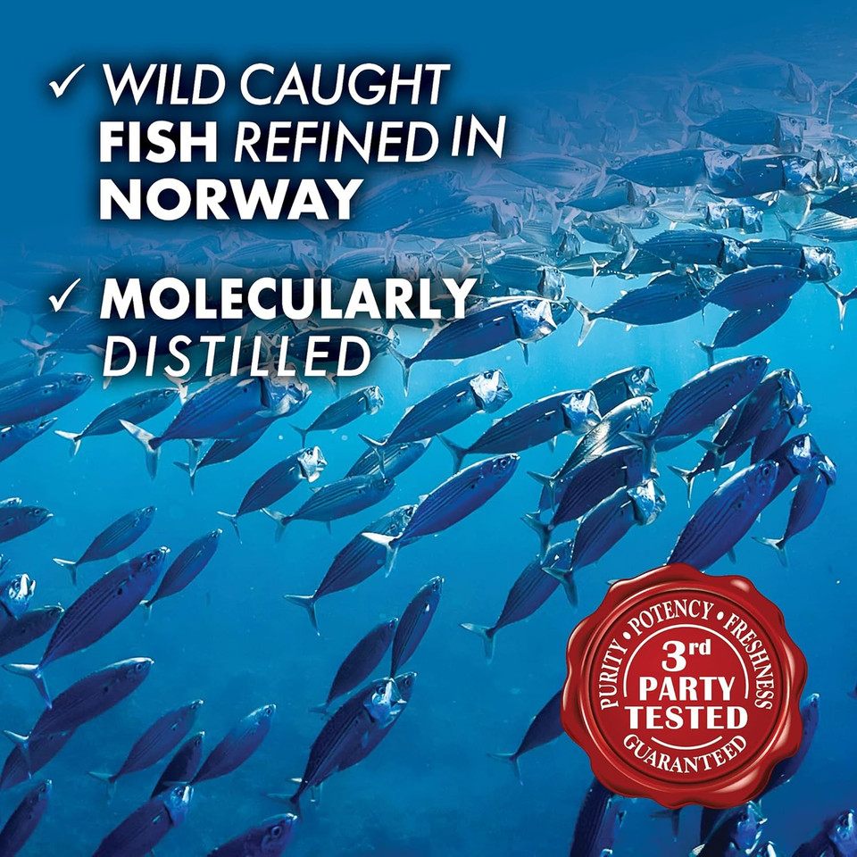 Bluebonnet Nutrition Omega-3 Brain Formula Natural Wild Caught Triglyceride Form Dha 1000 Mg Epa 210 Mg, Highly Concentrated Cognitive Health & Wellness Support Supplement, Gluten-Free Softgel, Yellow/Clear, Lemon, 120 Count