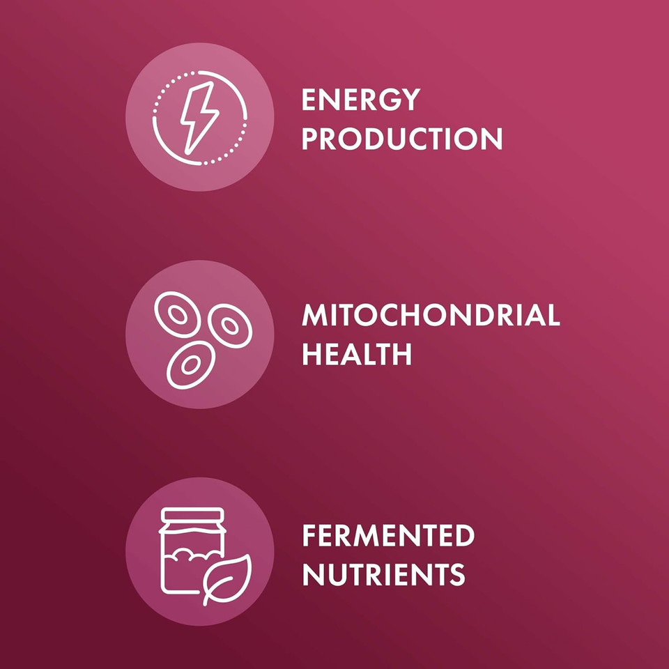 Dr. Mercola Organic Fermented Beets - Nitric Oxide Support - Usda Organic, Non-Gmo, Gluten-Free & Soy-Free - 60 Capsules