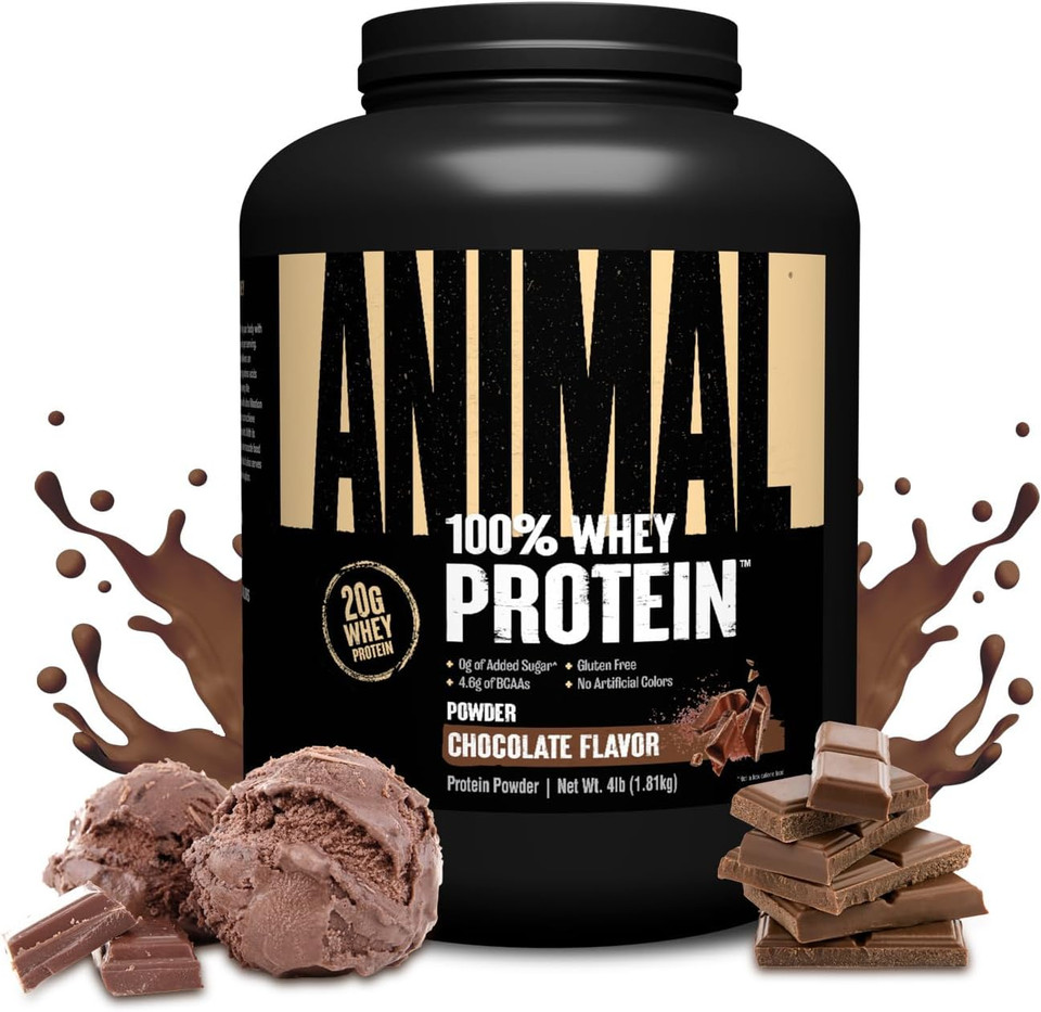 Animal 100% Whey Protein Powder  Whey Blend For Pre Workout Or Post Workout, Recovery, Or An Anytime Low Sugar Protein Boost Meal Replacement With Bcaa Branched Chain Amino Acids  Chocolate, 4 Lb