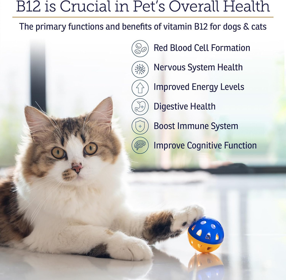 Rx Vitamins Rx B12 For Dogs & Cats - Vitamin B12 Liquid Supplement For Pets - Dog Vitamins For Small & Large Breed - Cat Health Supplies - 4 Oz