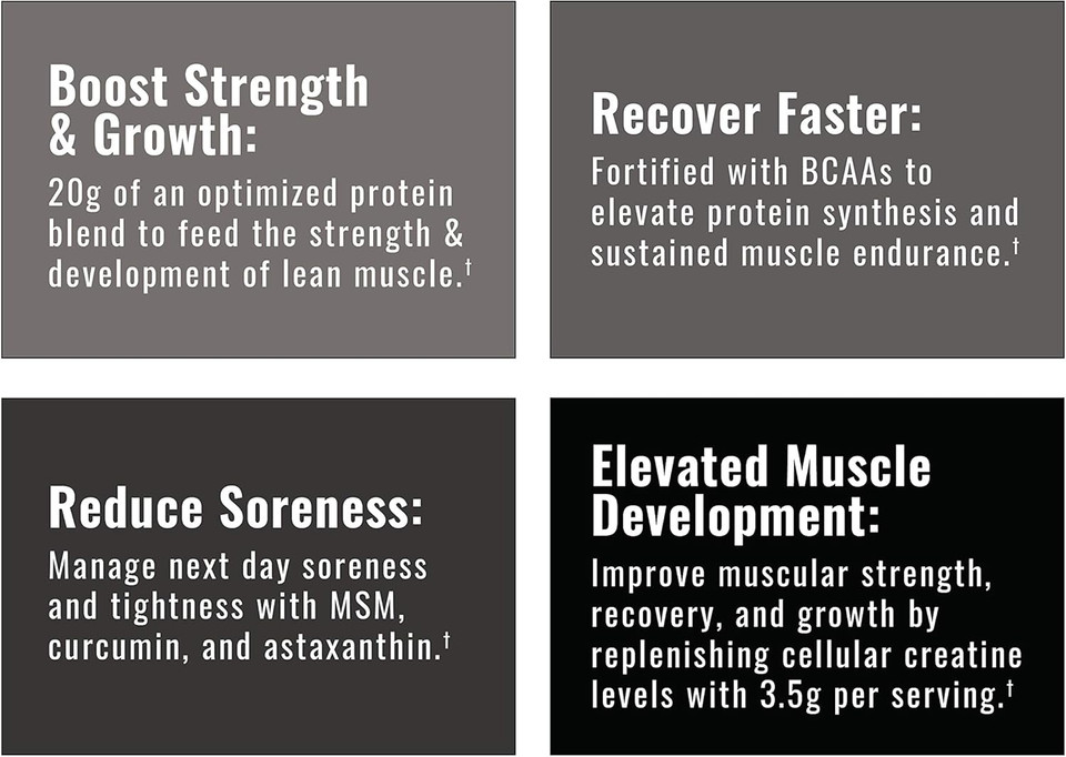 Wilderness Athlete - Brute Strength Bcaa Post Workout | Bcaa Creatine Workout Powder - Premium Post Workout Recovery Drink | 15 Serving Tub (Apple Pie)