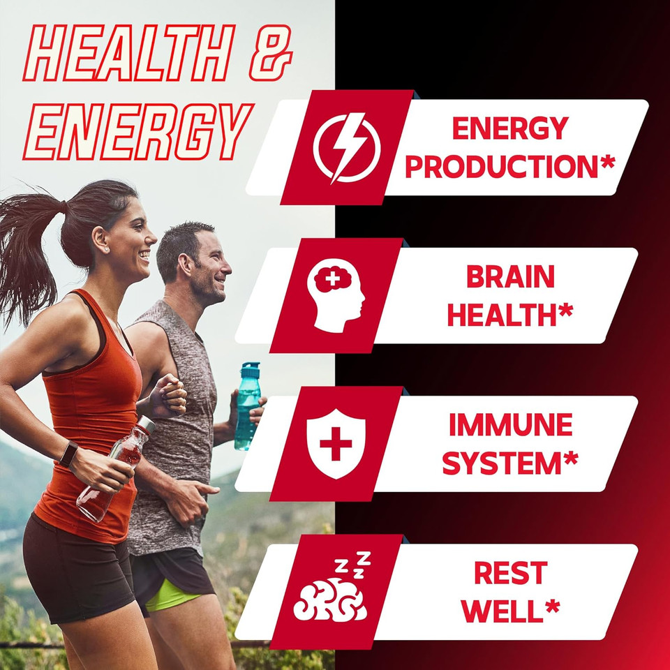 Nad+ Supplement 500Mg - Pure Nad Supplement - Combined To Fisetin, Tmg, Resveratrol And Quercetin - Energy And Dna Repair, Aging Defense, Brain Function - 60 Capsules