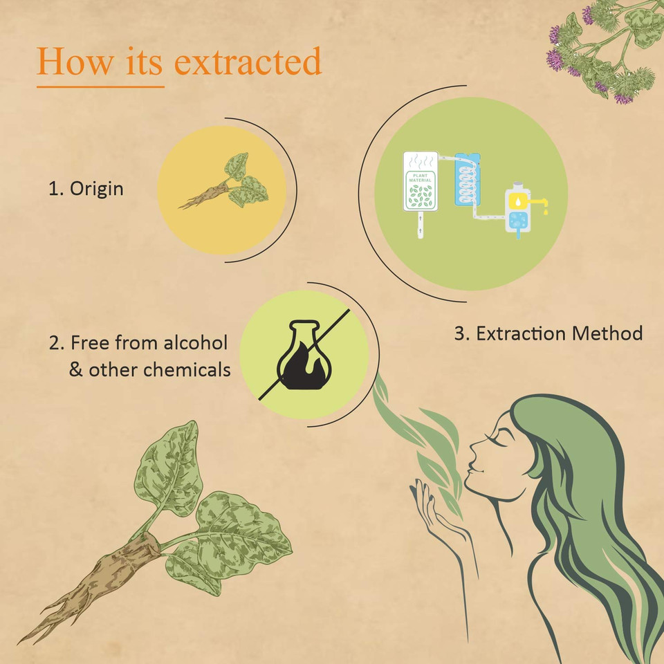 Florona Burdock Root Oil 100% Pure & Natural - 4 Fl Oz, For Hair, Face & Skin Care